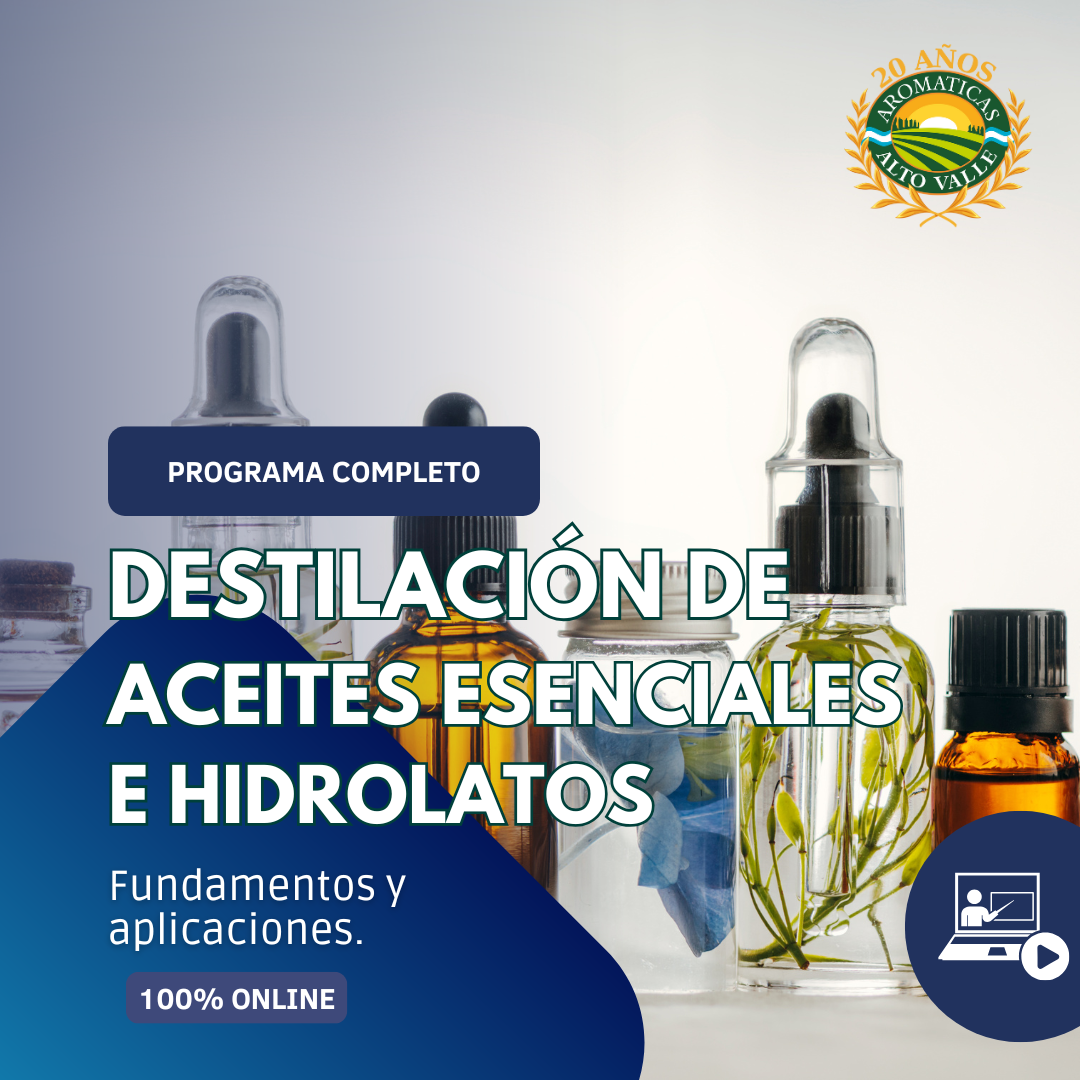 Programa de Formación Completo en Aceites Esenciales e Hidrolatos